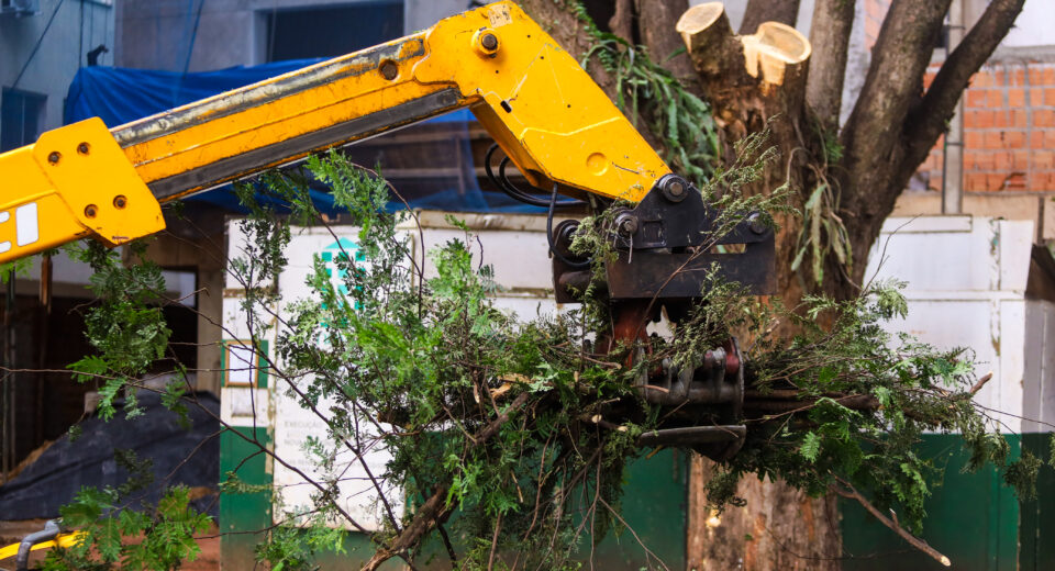 Credito: Rafael Macri / PMM