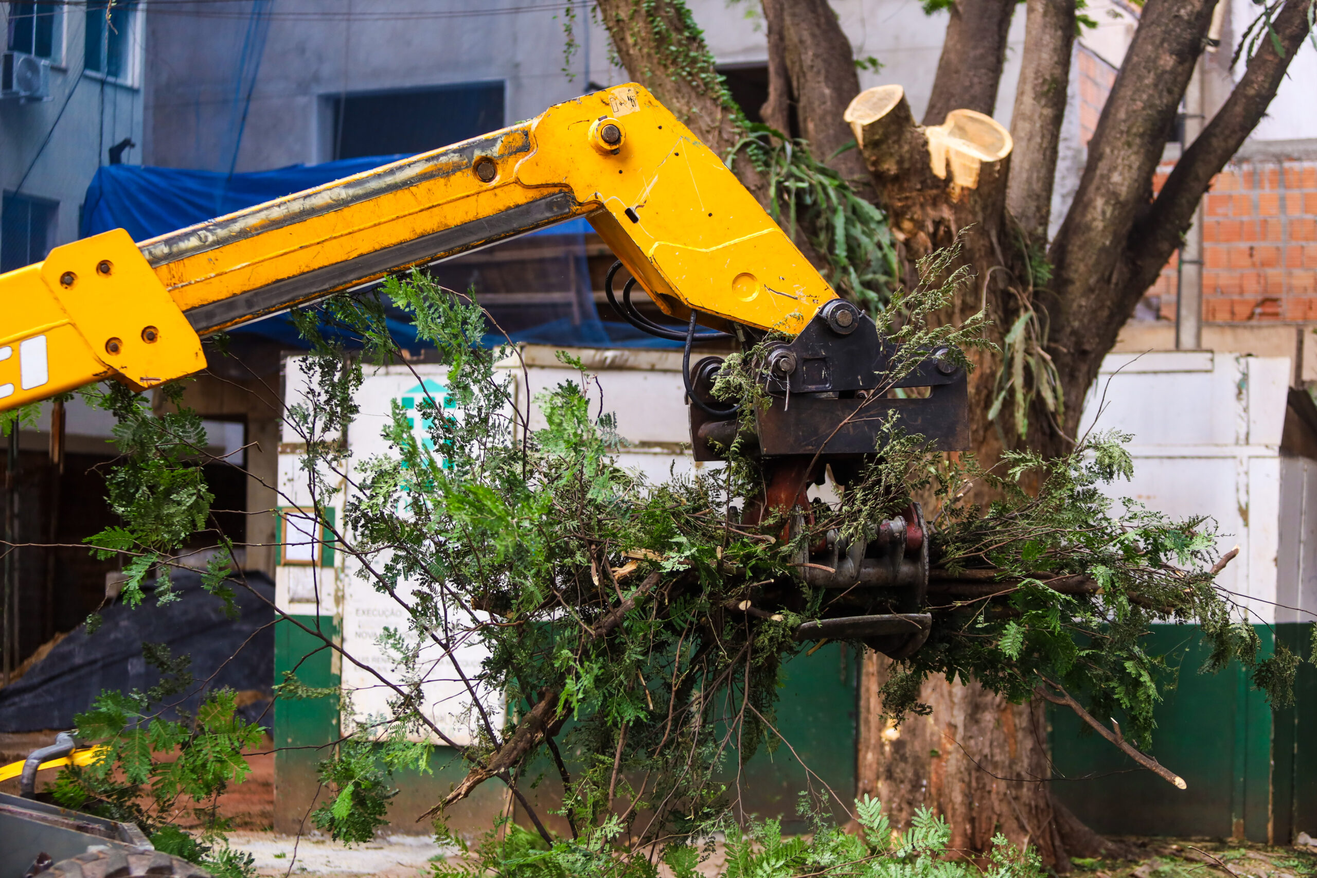 Credito: Rafael Macri / PMM