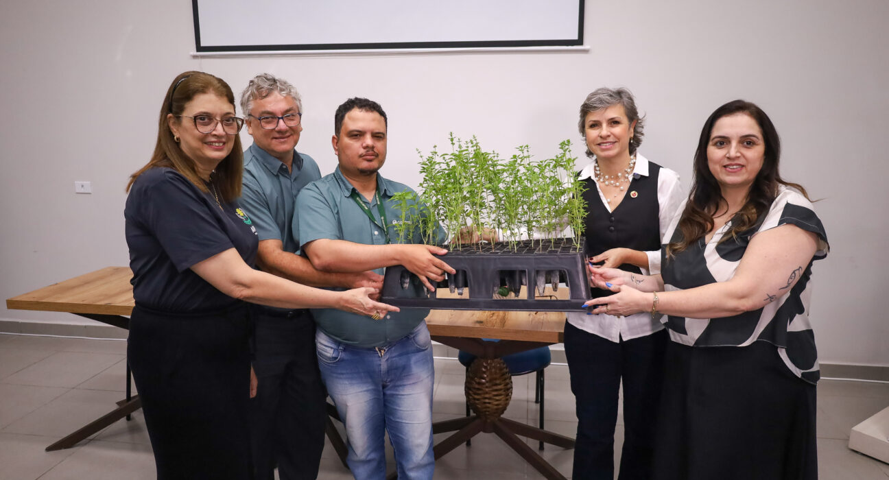 Credito: Rafael Macri/PMM