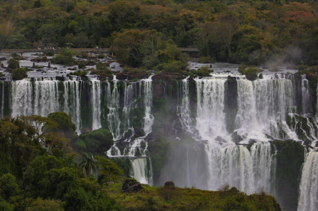 Foto: Jonathan Campos/AEN