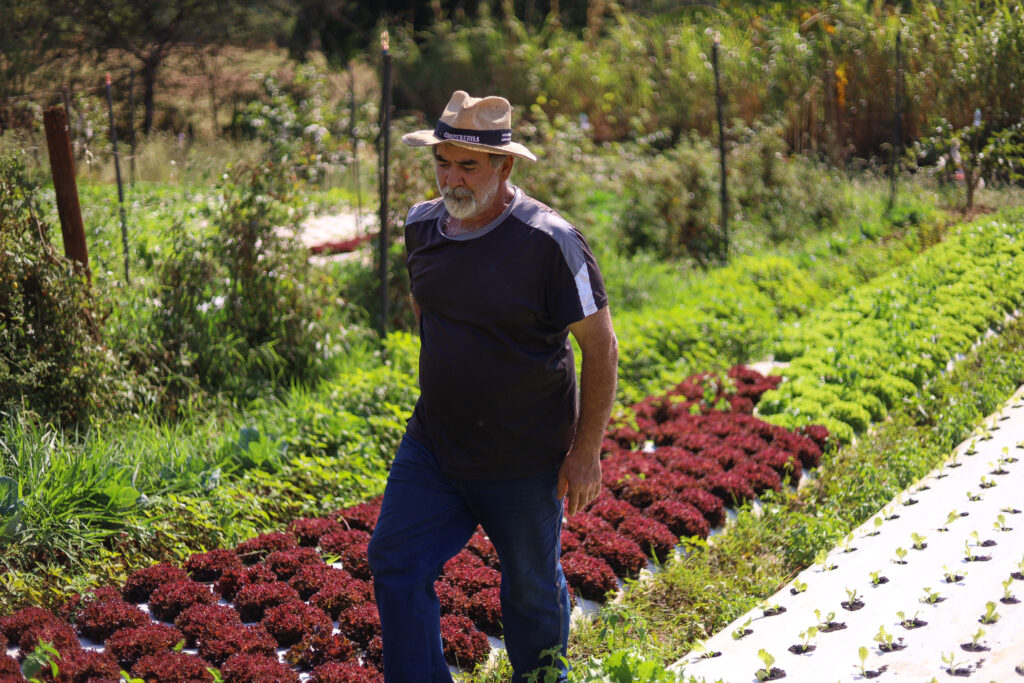 Credito: Rafael Macri/PMM