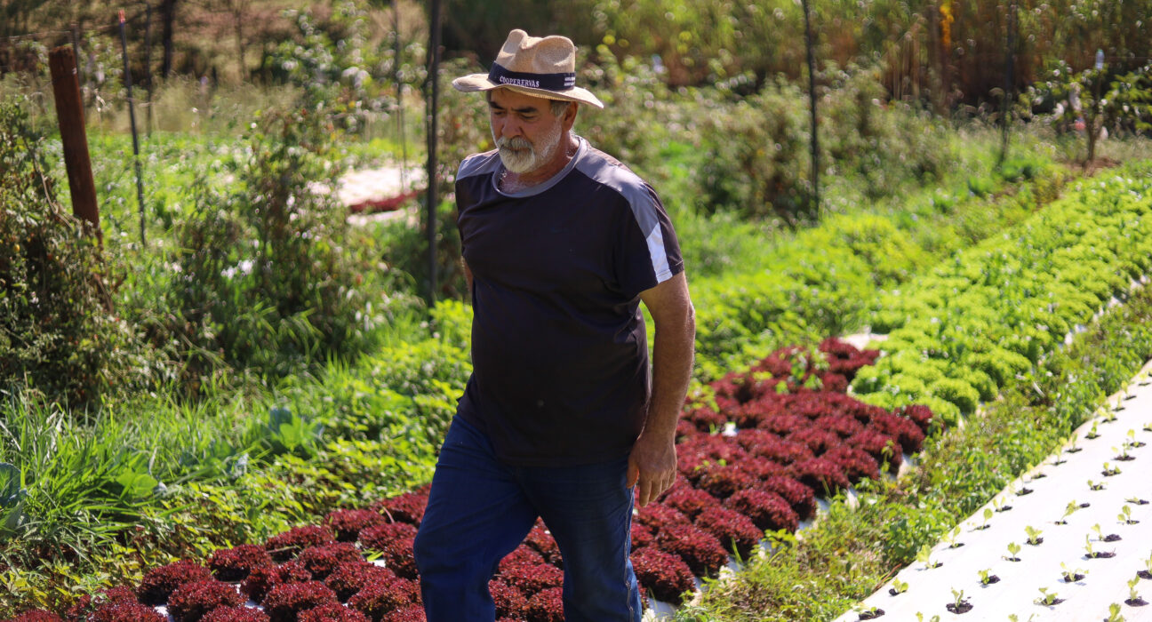 Credito: Rafael Macri/PMM