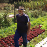 Vasco vence o Bahia em rodada atrasada do Brasileirão