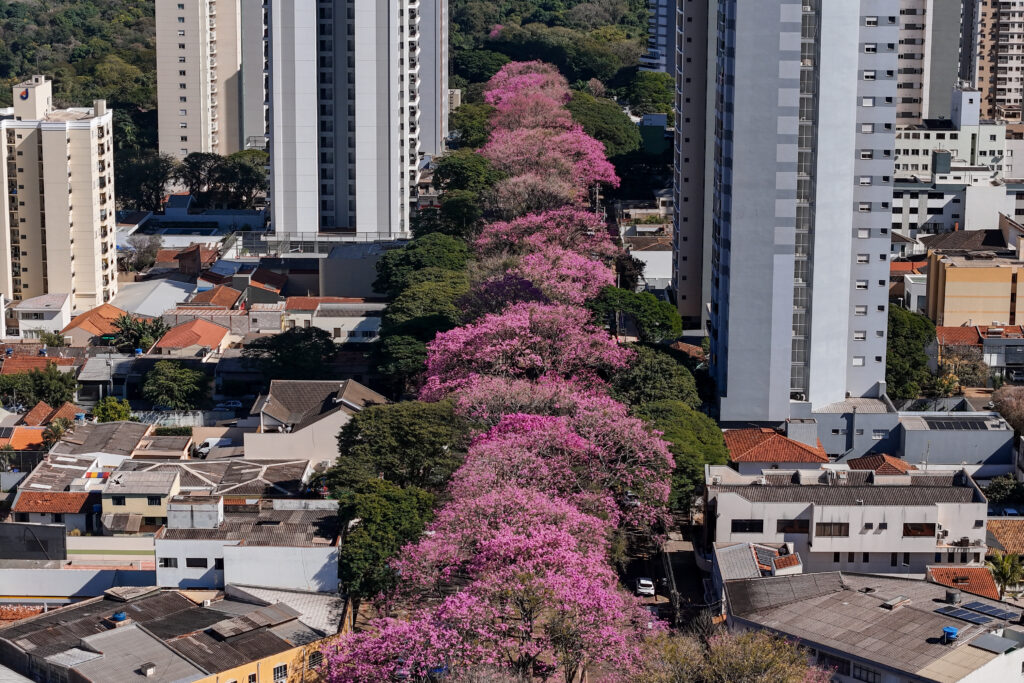 Credito: Rafael Macri / PMM