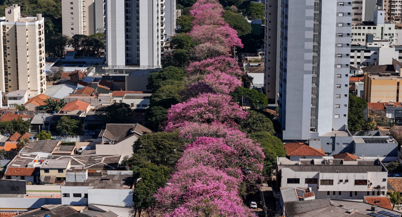 Credito: Rafael Macri / PMM