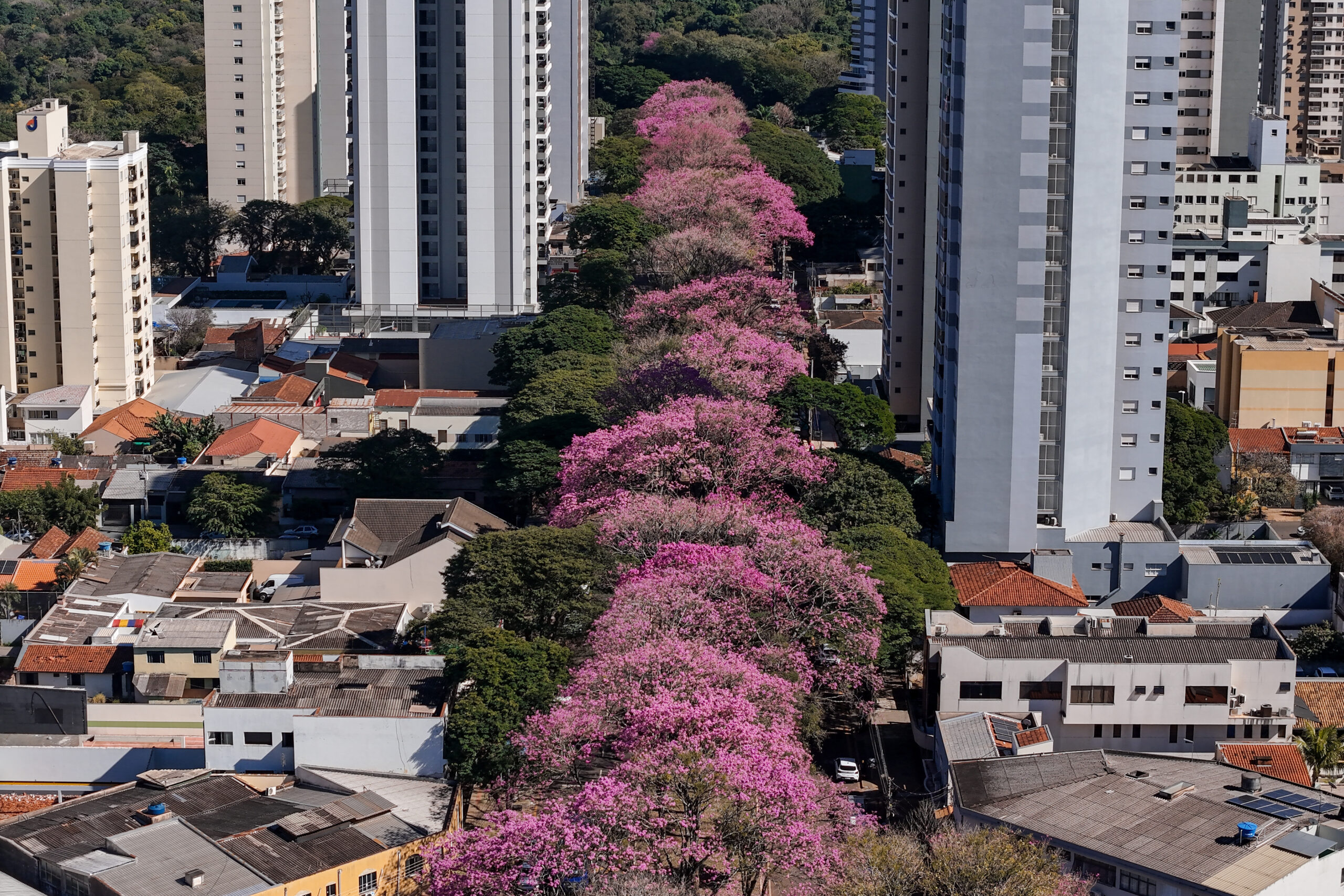 Credito: Rafael Macri / PMM