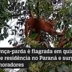 Lady Gaga lança “The Dead Dance”, música inédita da trilha de Wandinha