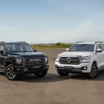 Onça-parda é flagrada em quintal de residência no Paraná e surpreende moradores