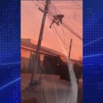 STF: 1º dia do julgamento de Bolsonaro e mais sete réus