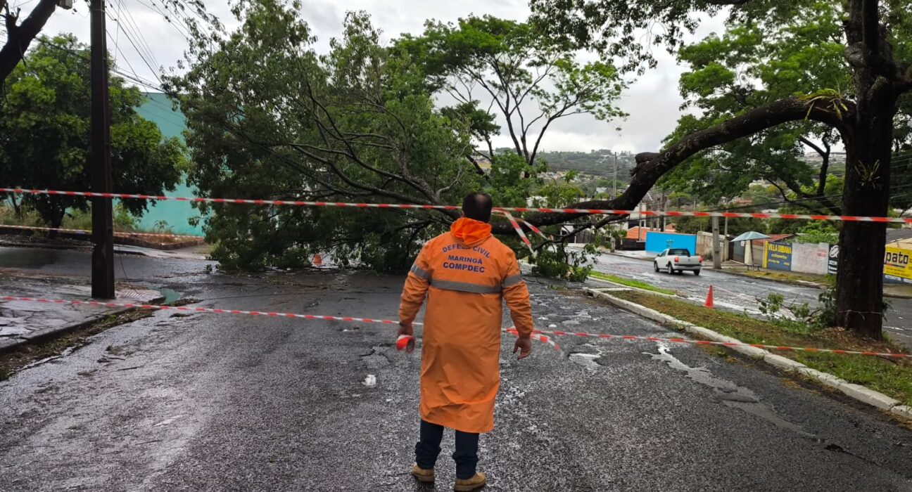 Credito: Divulgação / PMM