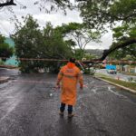 Reino Unido, Canadá, Austrália e Portugal reconhecem Estado da Palestina, ampliando apoio internacional