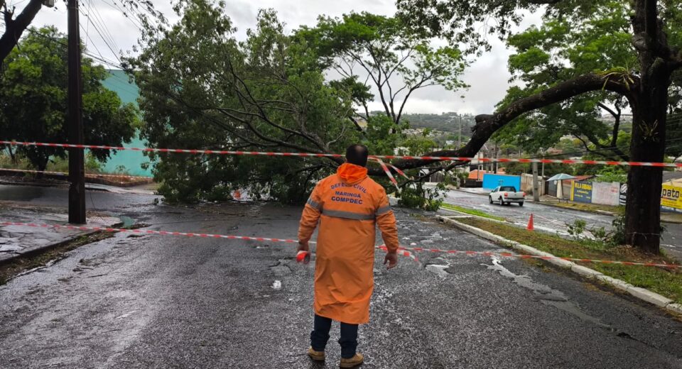 Credito: Divulgação / PMM