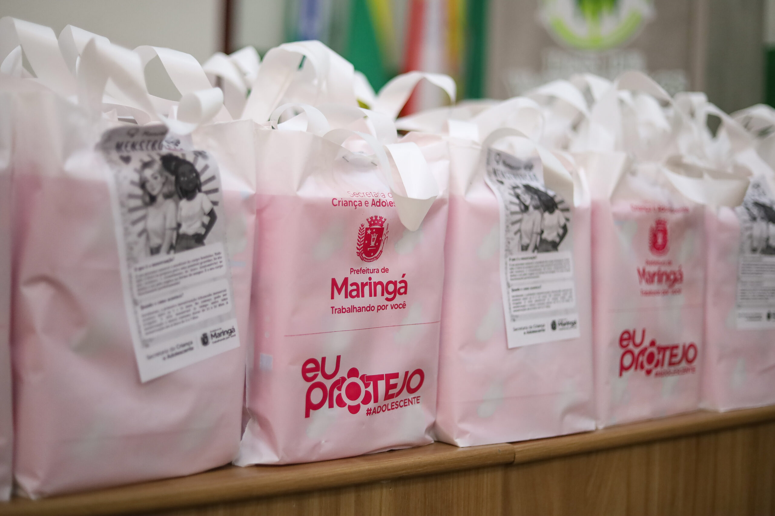 Credito: Rafael Macri/PMM