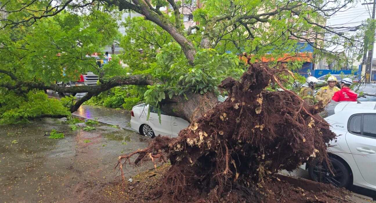 Foto: André Almenara