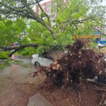 Paraná alerta sobre riscos da obesidade infantil e orienta como prevenir