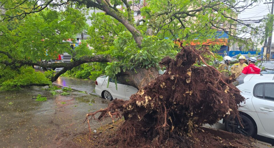 Foto: André Almenara