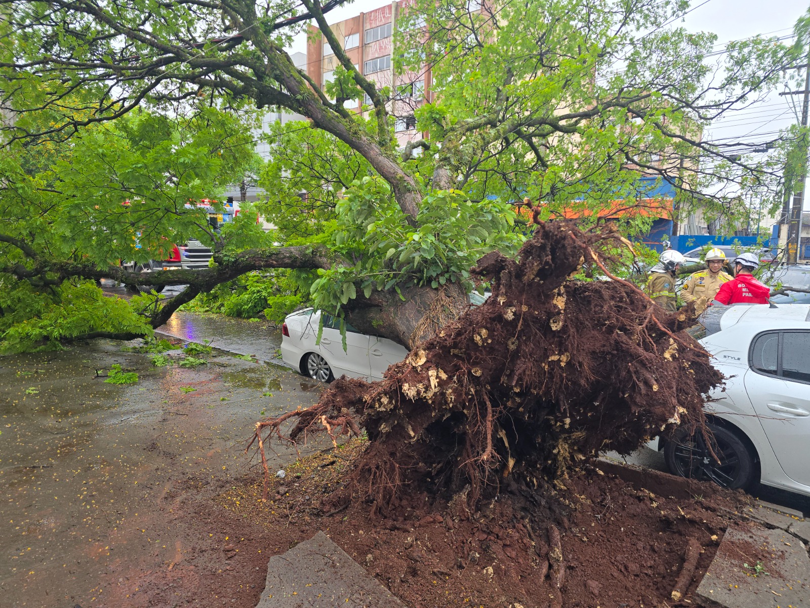 Foto: André Almenara