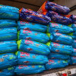 “Noite da Aclamação 2026” vai celebrar Raul Seixas em evento beneficente em Salvador