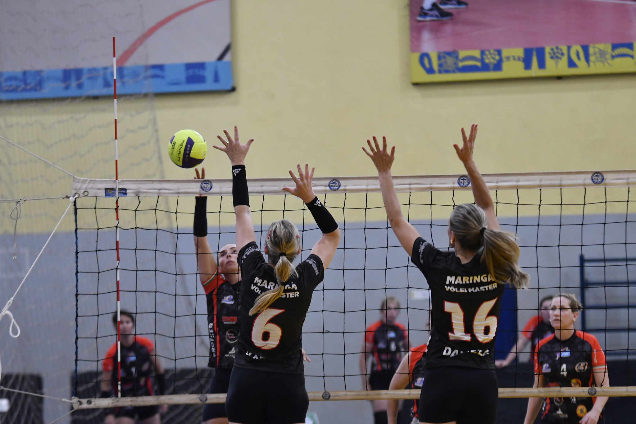 Credito: Divulgação / Governo do Paraná