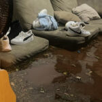 3 pesquisas mostram que maioria é a favor de megaoperação no Rio