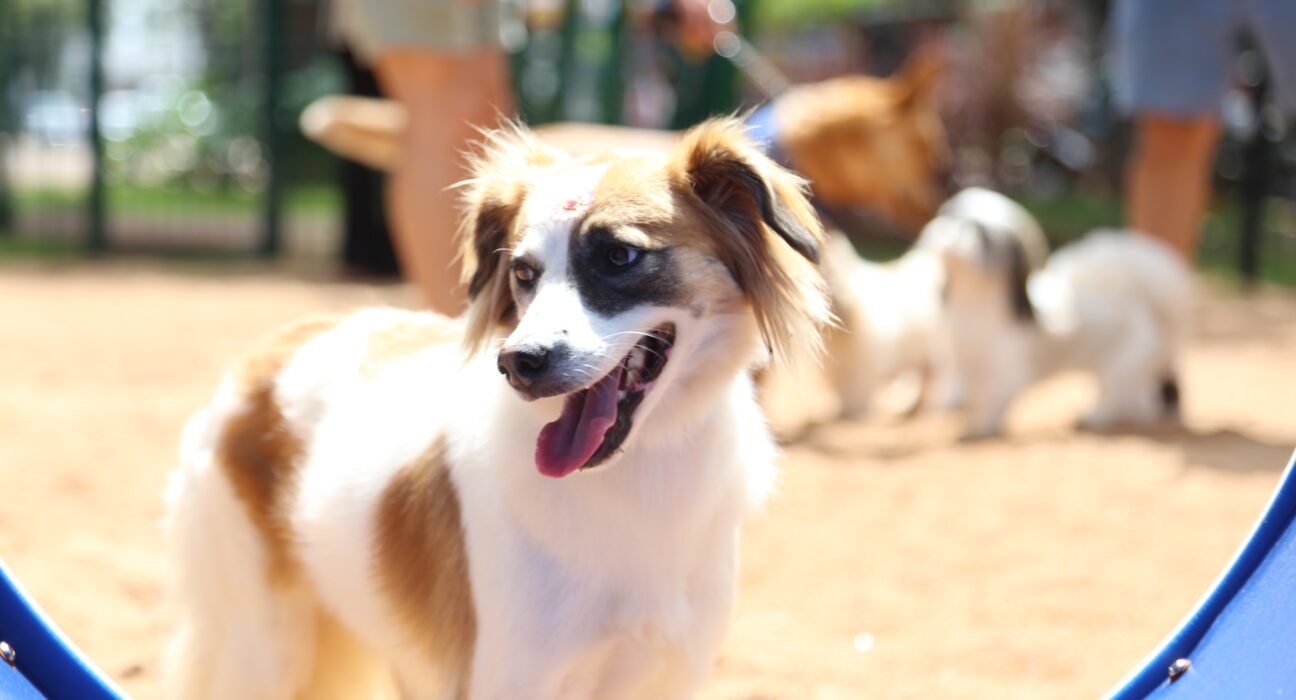 Credito: Arquivo / PMM