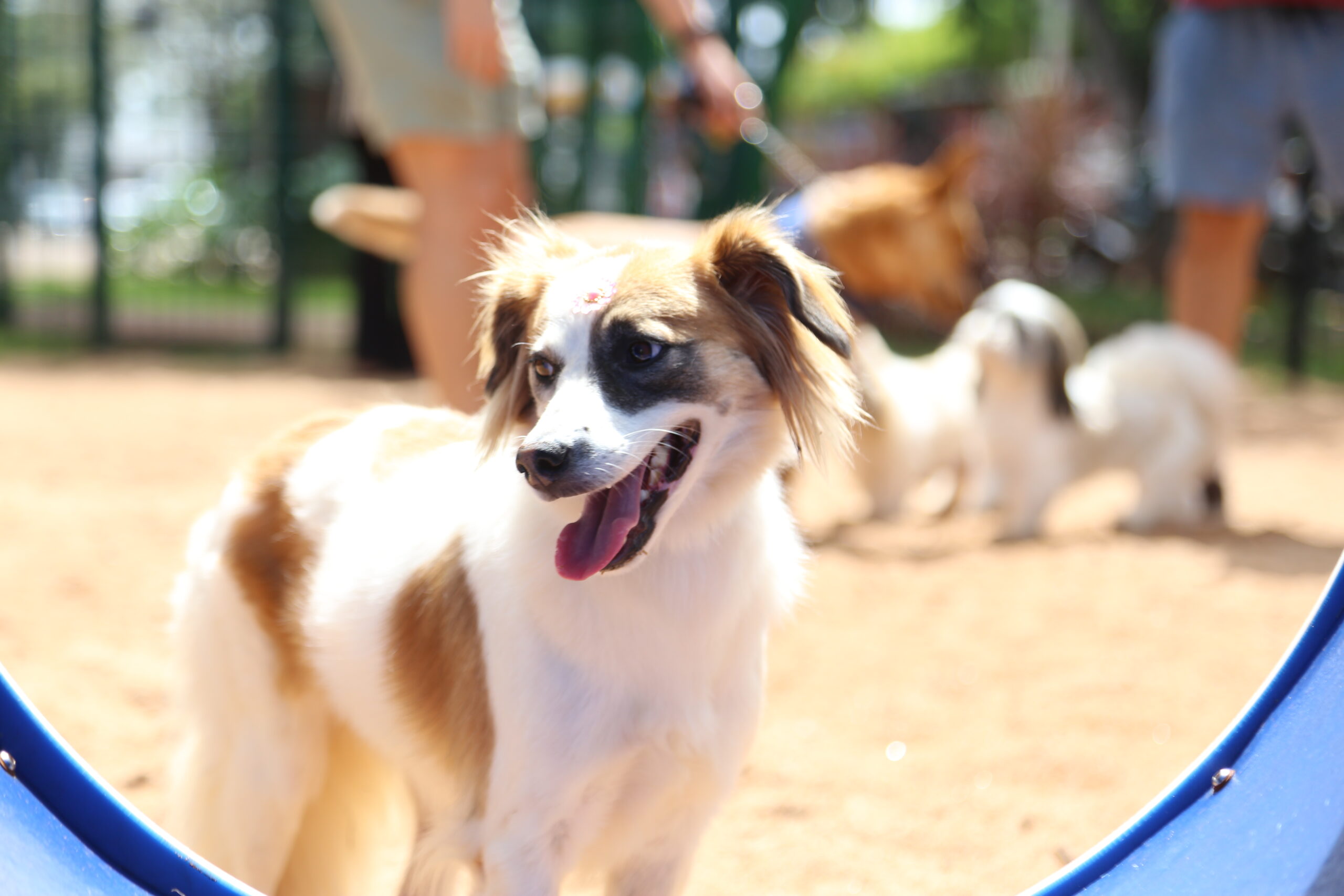 Credito: Arquivo / PMM