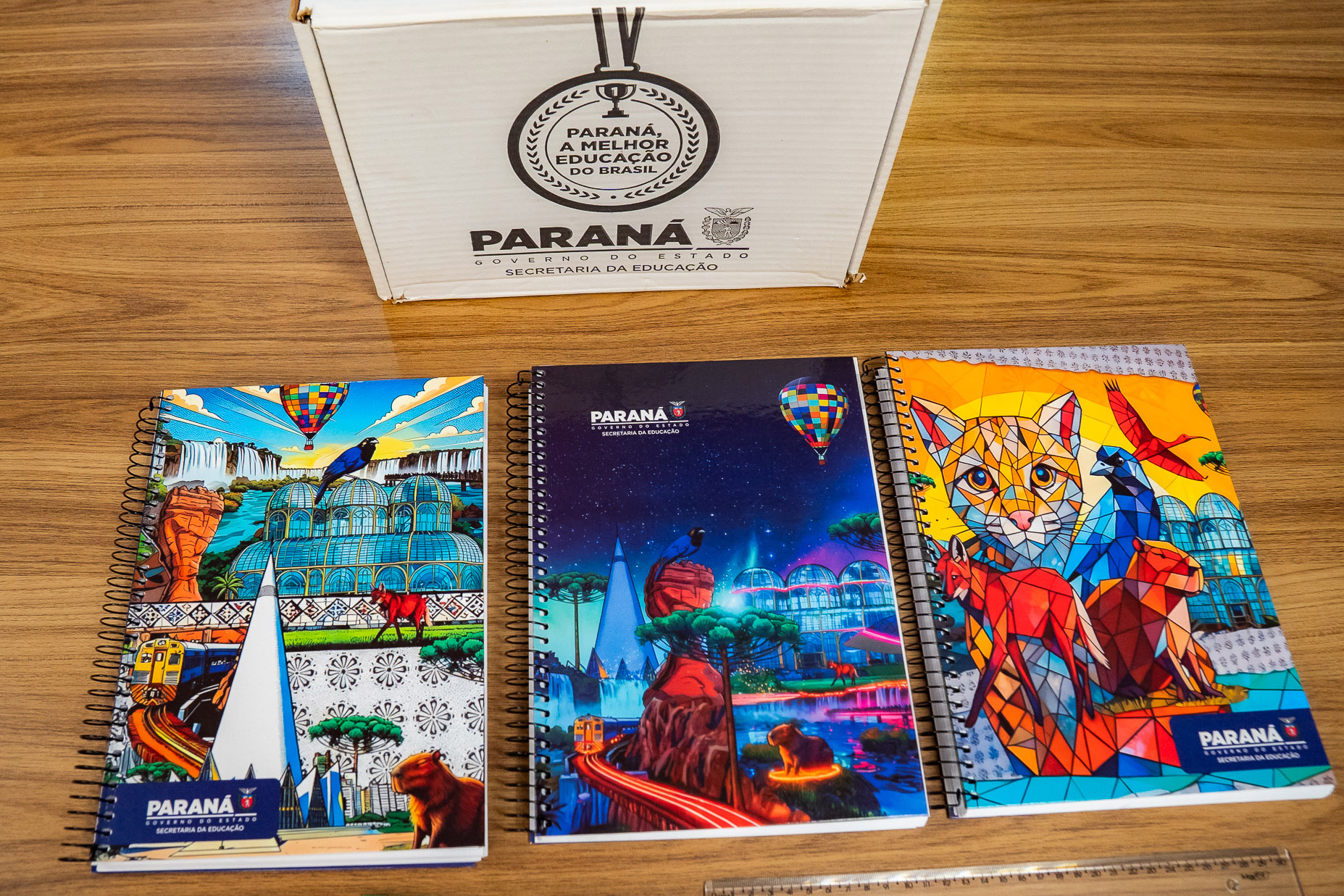 Foto: Silvio Turra/SEED