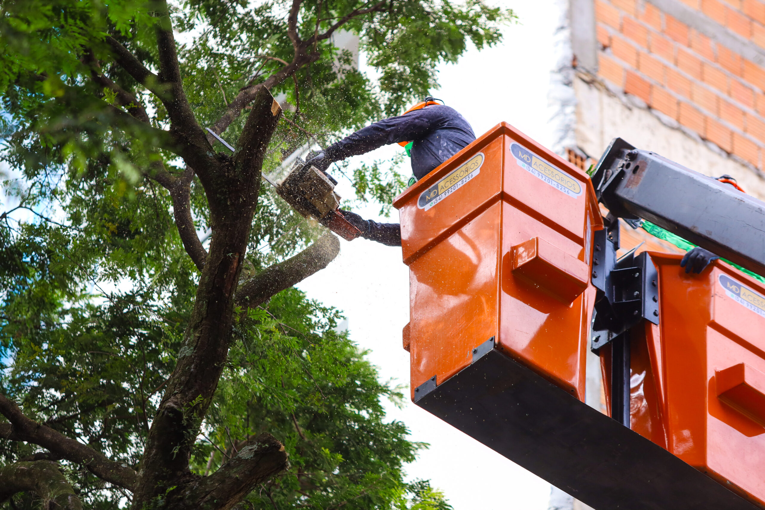 Credito: Rafael Macri / PMM