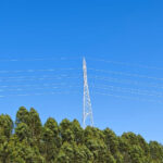 Arrascaeta é finalista no tradicional prêmio Rei da América