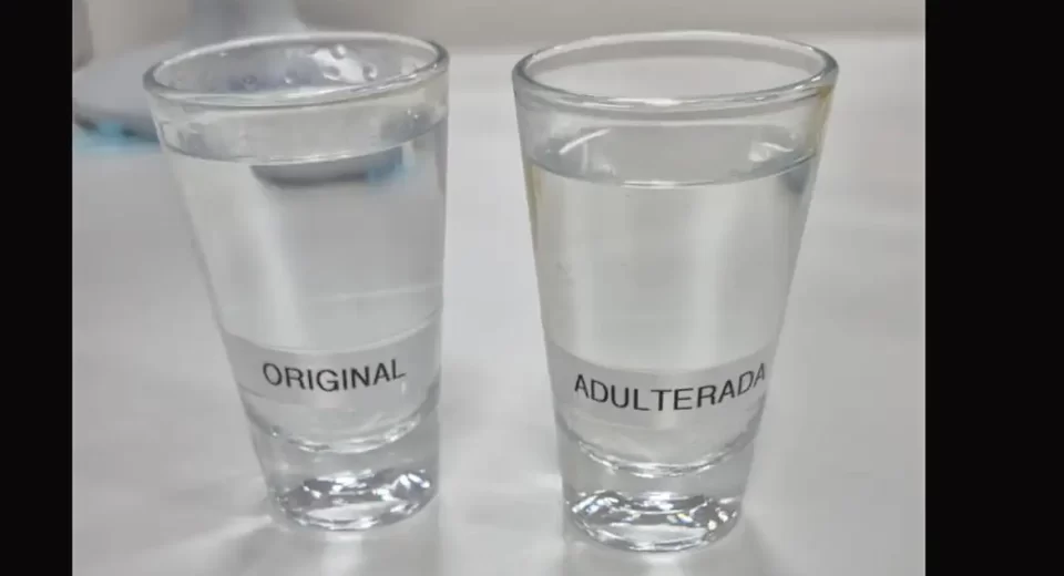 © UFPR/Divulgação