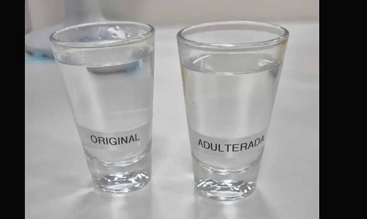 © UFPR/Divulgação