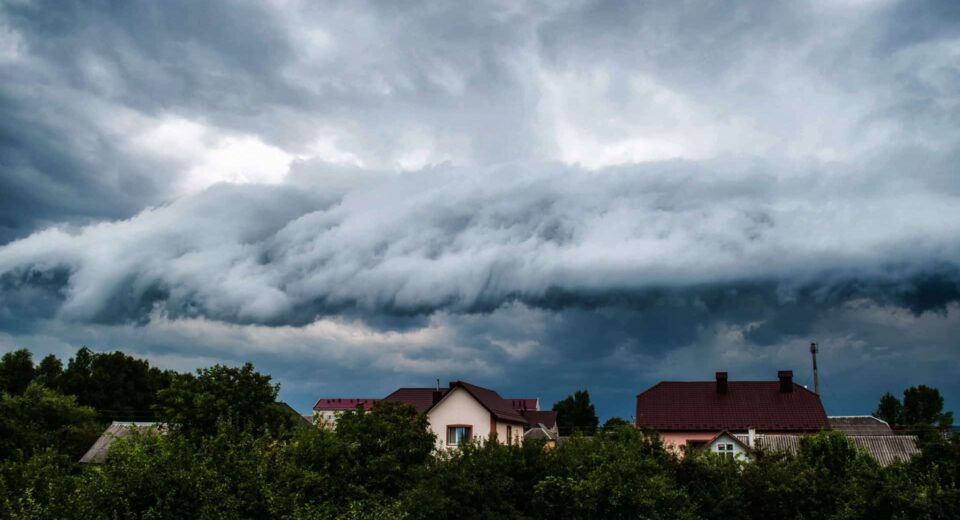 Imagem: Svitlyk / Shutterstock