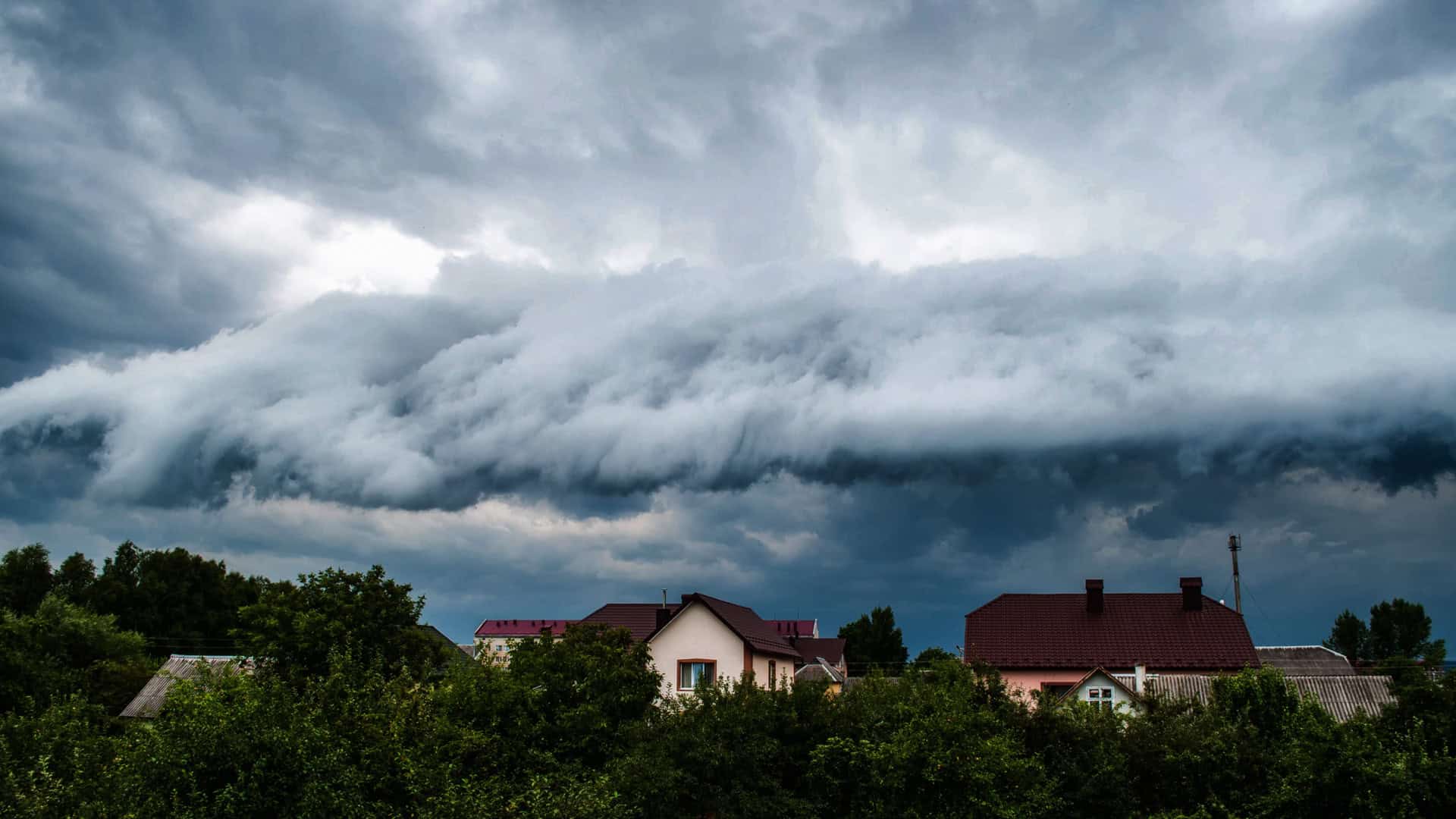 Imagem: Svitlyk / Shutterstock