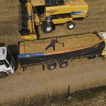 Vendaval histórico provoca caos em aeroportos e mais de 300 voos cancelados em SP