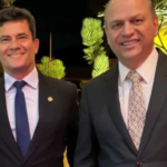 Ciência explica por que tocar plantas pode influenciar seu crescimento