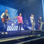 Prefeitura promove feirinha de adoção de pets neste sábado