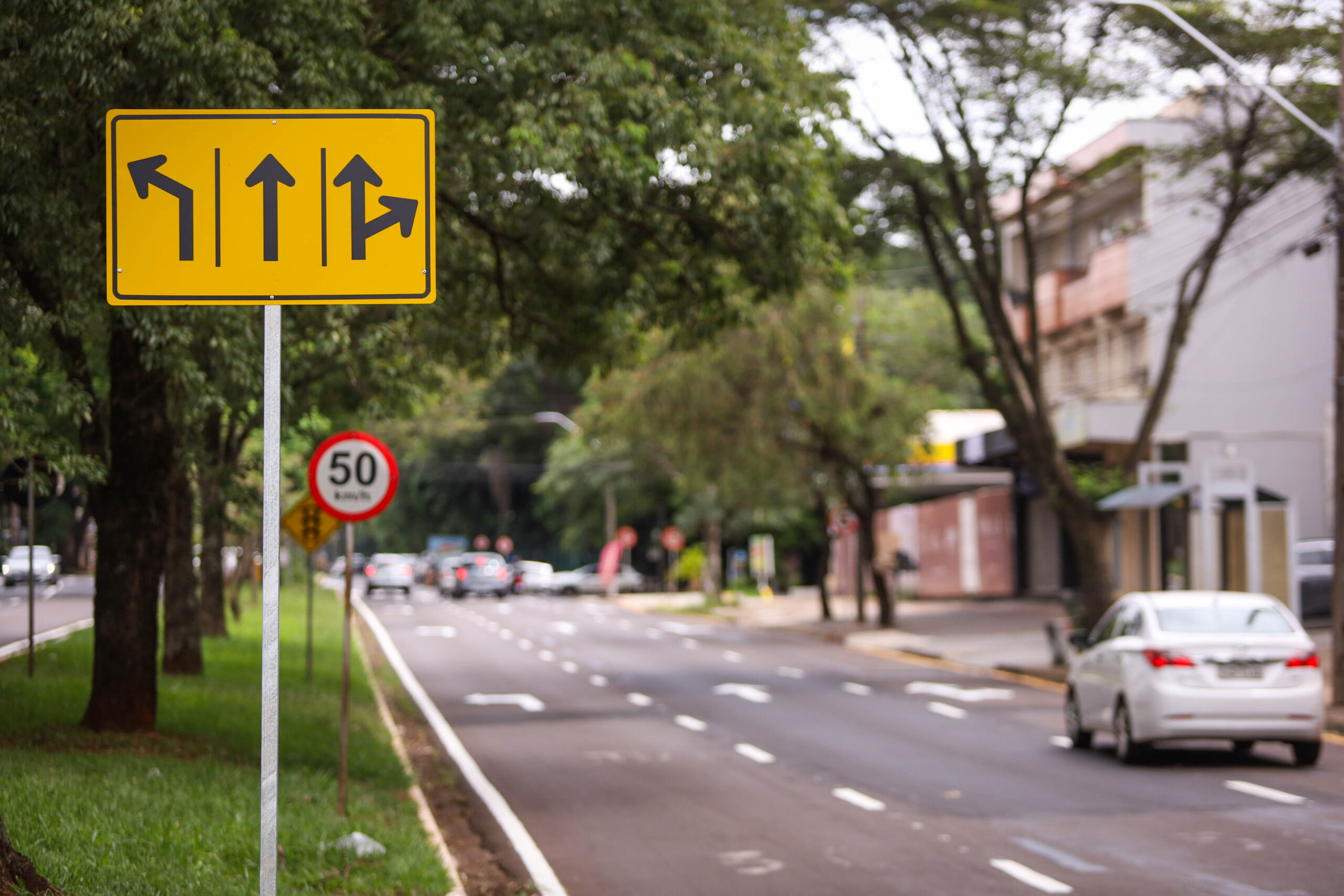 Crédito: Rafael Macri/PMM