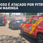 Ricardo Barros desafia Moro no PP do Paraná