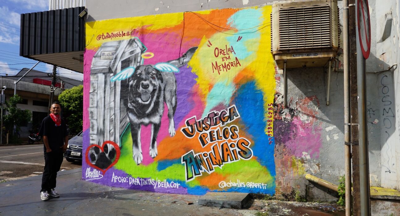 Foto: Prefeitura de Sarandi