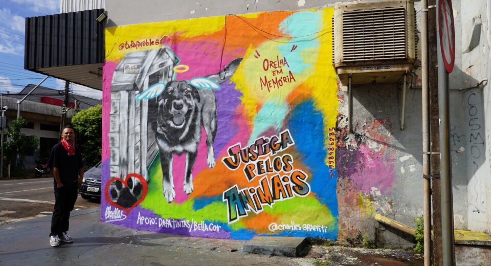 Foto: Prefeitura de Sarandi