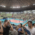 Idoso é atacado por pitbulls em Maringá