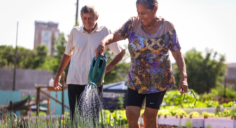 Crédito: Rafael Macri/PMM