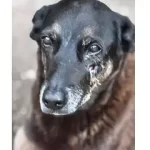 Silvio Barros viaja à Colômbia em missão técnica