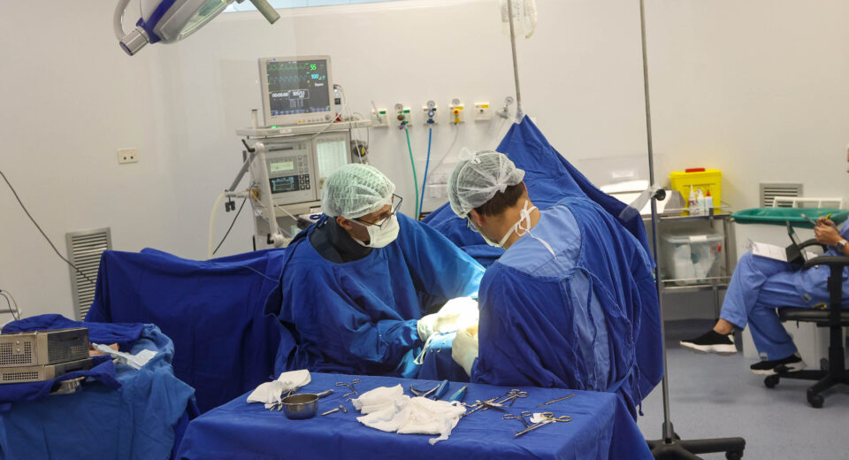 Foto: Gilson Abreu/Arquivo AEN