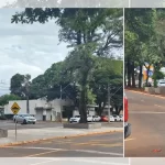 Daniel Radcliffe nega rumores de viver Wolverine no MCU