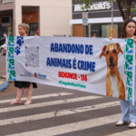 Atualização do Windows 11 pode bloquear acesso ao disco principal