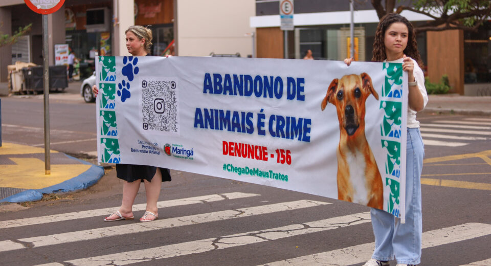 Crédito: Rafael Macri/PMM