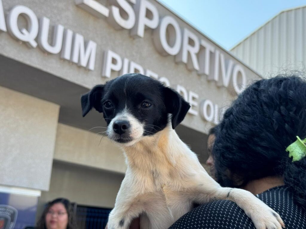 Crédito: Rafael Macri/PMM