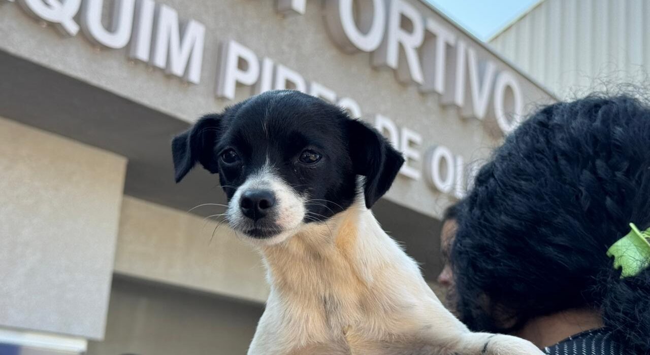 Crédito: Rafael Macri/PMM