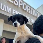 Governo anuncia R$ 1,1 bilhão em novos investimentos para a saúde no Paraná